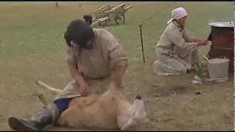 Монгол забивает барана