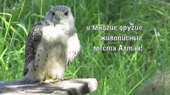 Туристический Комплекс /СТИК-ТРЕВЕЛ/