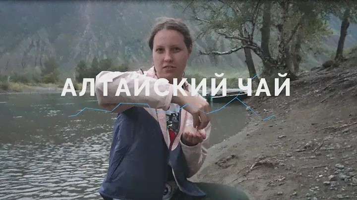 АЛТАЙСКИЙ ЧАЙ