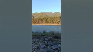 республика Алтай #республикаалтай #воздухспецефический #узнезя #чемал