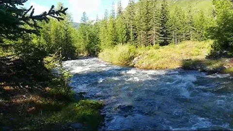 Горный Алтай. р.Чибитка возле пос.Акташ