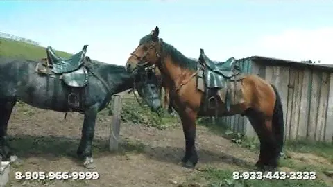 Алтай Три Медведя FullHD