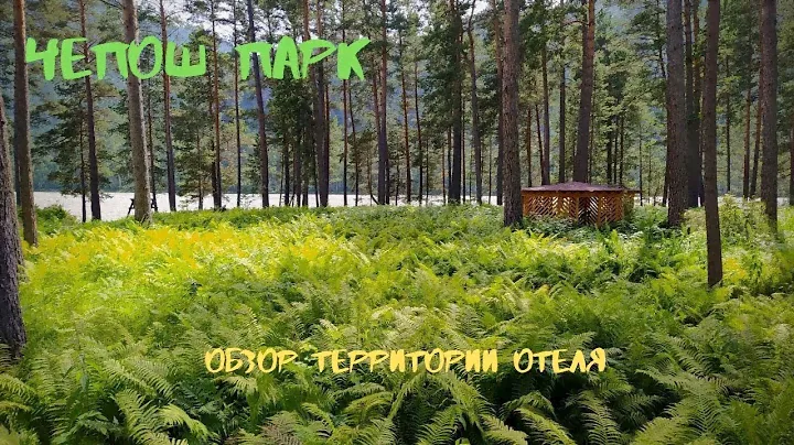 Чепош Парк 2020. Часть 1. Обзор территории.