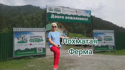 🐫Лохматая ферма Горный Алтай Чемал🐿️