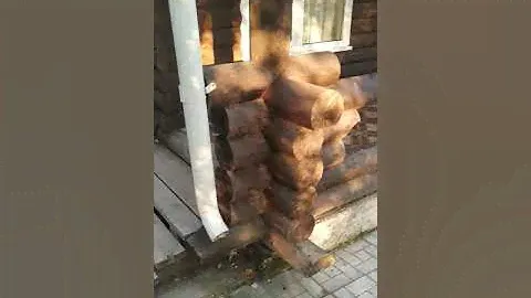 Таинственный берег. Горный Алтай  2020
