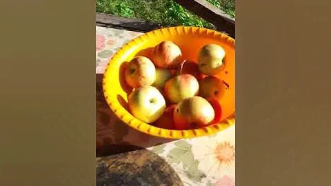 Сухой Голод Алтай сентябрь  2018 Турбаза Синегорье