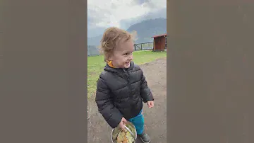 Лохматая ферма. с. Узнезя