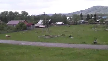 Горный Алтай земельный участок (ИЖС) в селе Ая
