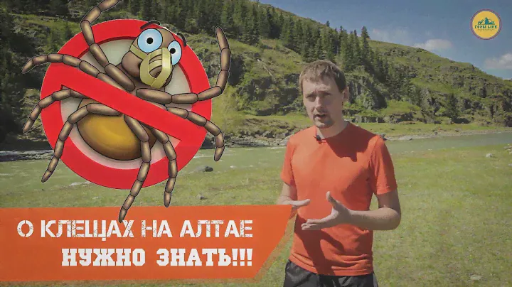 О клещах на Алтае. Нужно знать!!!