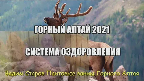Вадим Старов Горный Алтай Система Оздоровления/ Маральник  срезка, пантовые ванны, кровь марала.
